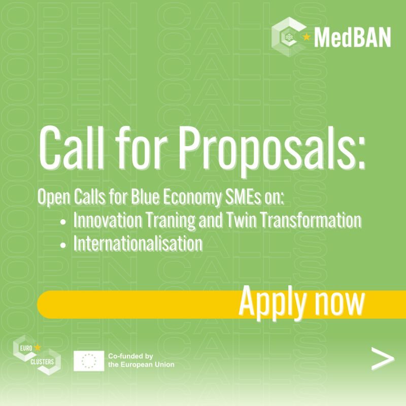MedBAN - Call for Proposals 